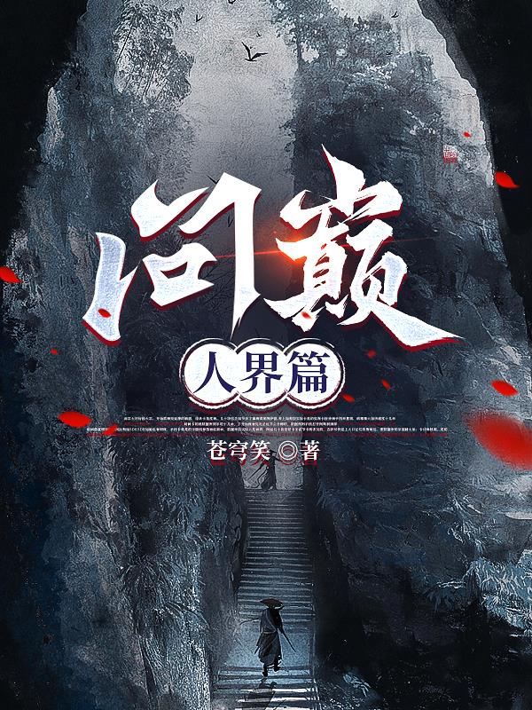 问鼎巅峰简介