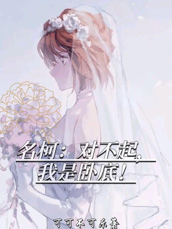 我是卧底 百度网盘