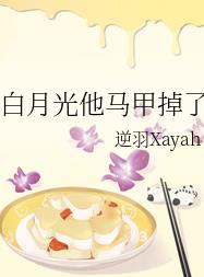 白月光他马甲掉了是双男主小说吗