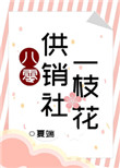 八零供销社一枝花!