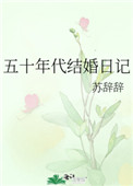 五十年代结婚日记苏辞辞格格党