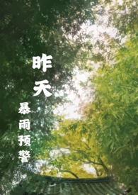 昨天暴雨的气象图